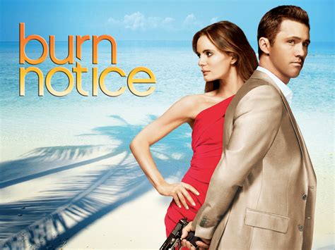 myflixer burn notice